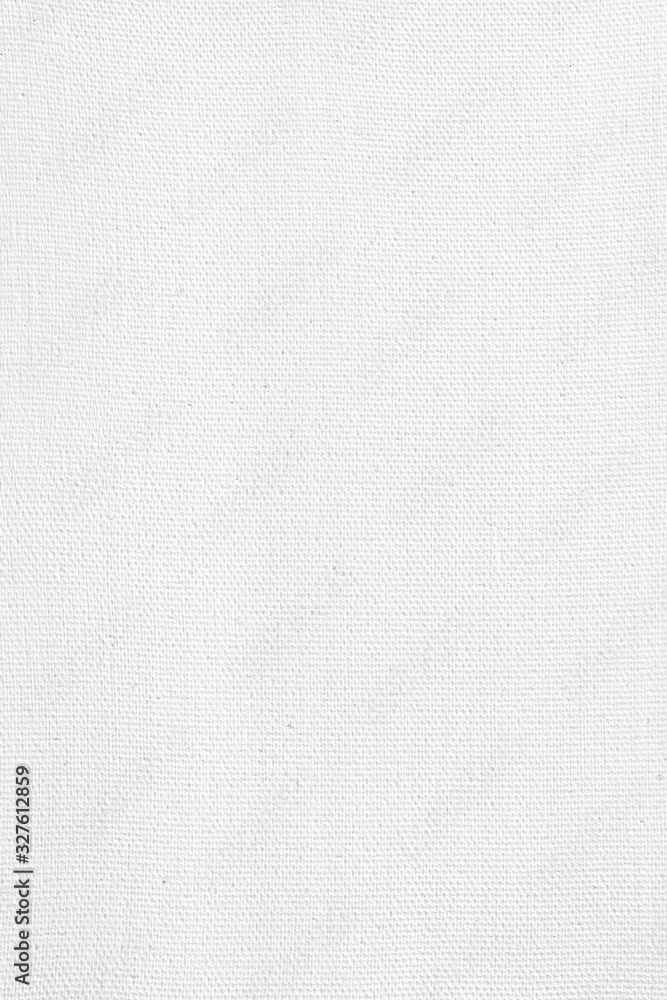 Canvas for paintings and pictures primed with white paint or soil. White clean empty canvas for painting. Canvas for paintings and pictures primed with white paint or soil. White clean empty canvas for painting.