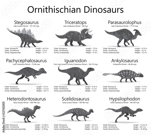 Ornithischian dinosaurs. Monochrome vector illustration of dinosaurs isolated on white background. Set of ancient creatures with information of size, weigh, classification and period of living. photo