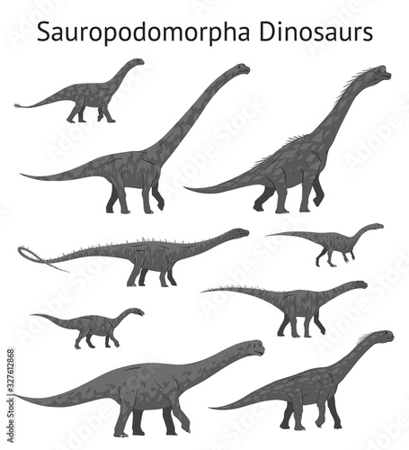 Set of sauropodomorpha dinosaurs. Monochrome vector illustration of dinosaurs isolated on white background. Side view. Sauropods. Proportional dimensions. Element for your desing  blog  journal.