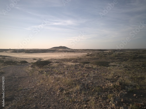 View of the savannah photo