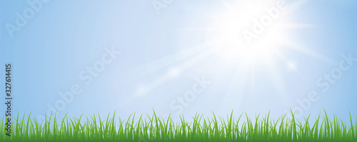 sunny sky and green meadow background with copy space vector illustration EPS10