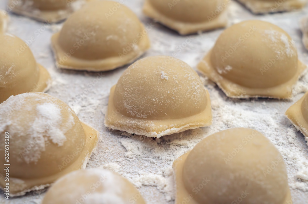 raw dumplings made in the form raw dumplings made in the form