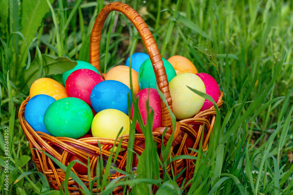 Fototapeta premium Multi-colored Easter eggs lie in a wicker rattan basket, which stands in tall green grass. Colored eggs close-up, front view, Copy space, place for text.