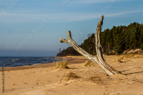 Beautiful landscape of the Baltic Sea coast.
