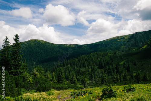 View of vertex.Carpathian mountains in the midle of summmer.