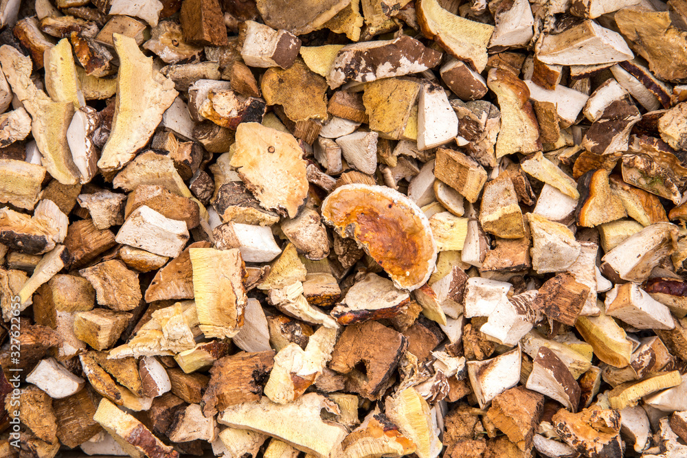 Small dried pieces of Fomitopsis pinicola also known as red belt conk fungus. Used for smoke in beekeeping gear, fruity dry body is good for natural tinder. Small dried pieces of Fomitopsis pinicola also known as red belt conk fungus. Used for smoke in beekeeping gear, fruity dry body is good for natural tinder.