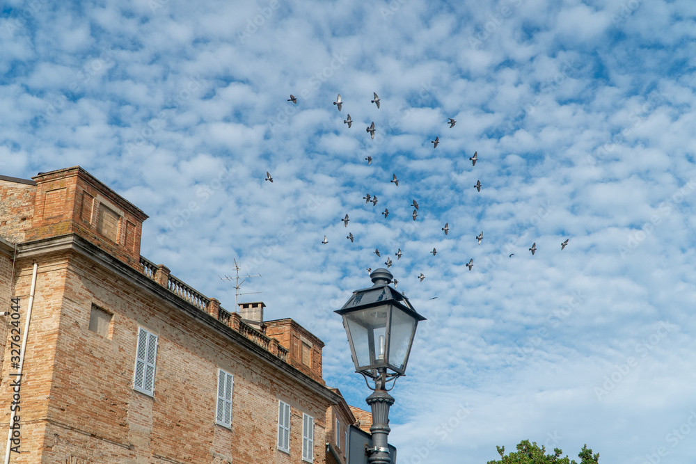 A flock of pigeons in the blue sky over the roofs of houses in the Italian town