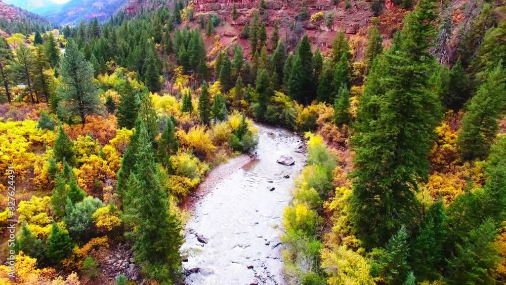 Drone shot of Colorado Aspen trees in the fall.