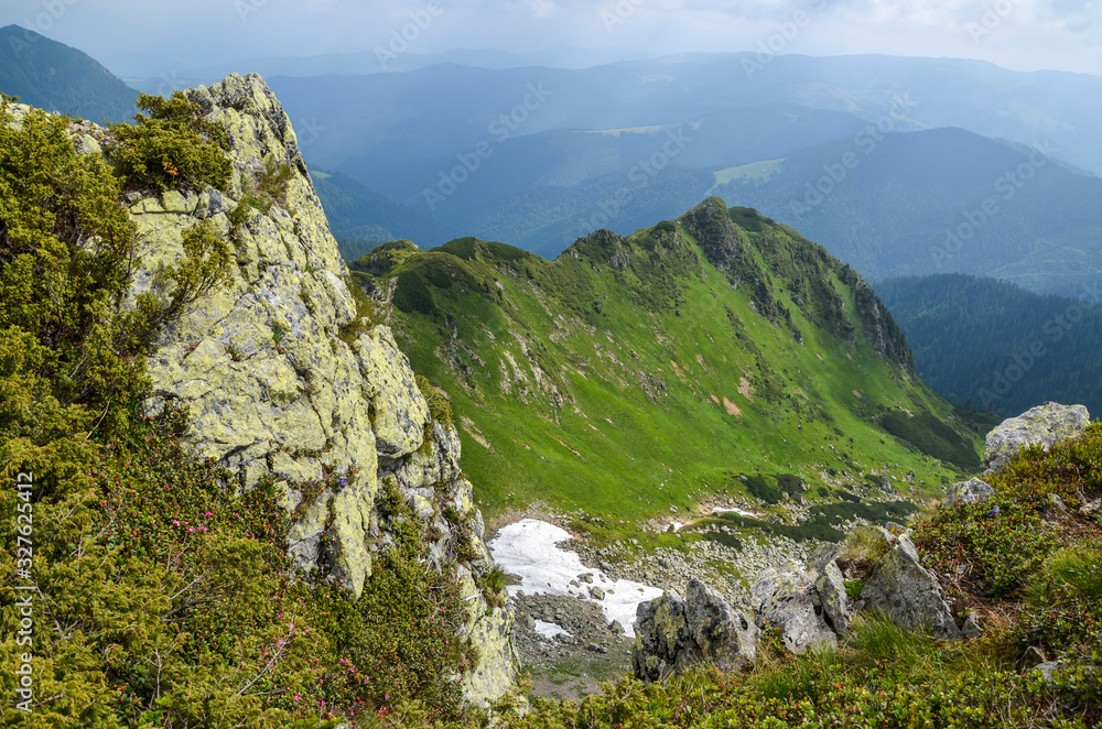 Valley among majestic rugged mountain hills and peaks covered in green lush grass, forest, snow leftovers rhododendron flowers. Sunny cloudy day in summer. Marmarosy Carpathian mountains Ukraine 