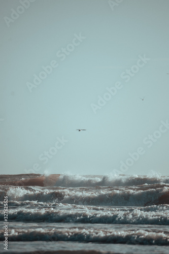 Mar 20