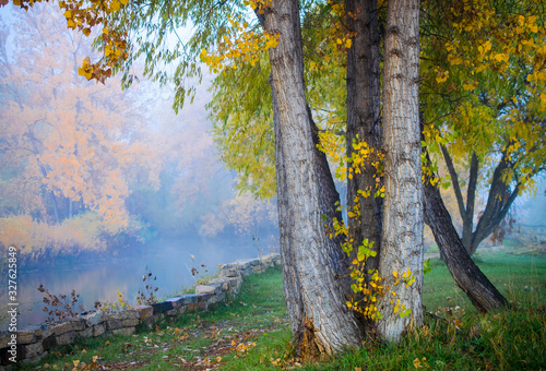  A scenic and tranquil grove of trees and fall colors along a misty lake in Fort Collins, Colorado