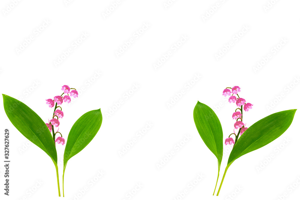 Lily of the valley flower on white background Lily of the valley flower on white background
