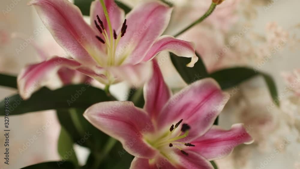 bouquet of flowers, beautiful lilies close-up, camera in motion bouquet of flowers, beautiful lilies close-up, camera in motion