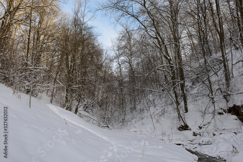 Winter forest covered with snow in a ravine with a river © alexnikit