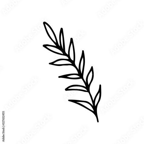 Branch with leaves in doodle style on an isolated white background. Botanical simple illustration. Stock vector illustration