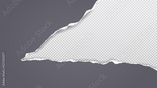 Torn, ripped piece of horizontal dark grey paper with soft shadow is on white squared background. Vector illustration