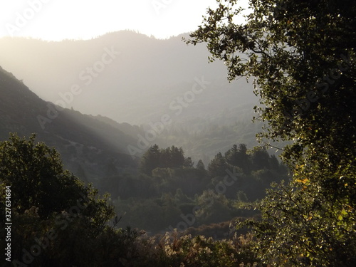 Misty Morning In The Mountains
