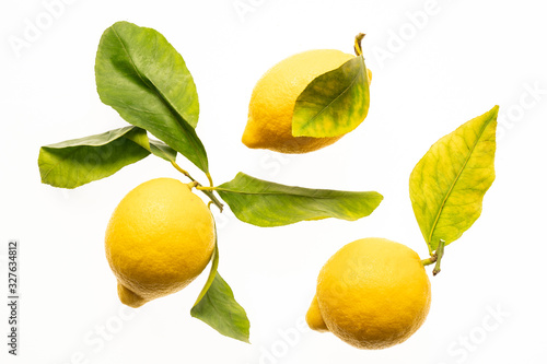 lemons with leaves isolated on white background