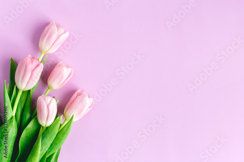 Tender pink tulips on pastel violet background. Greeting card for Women's day. © Inna