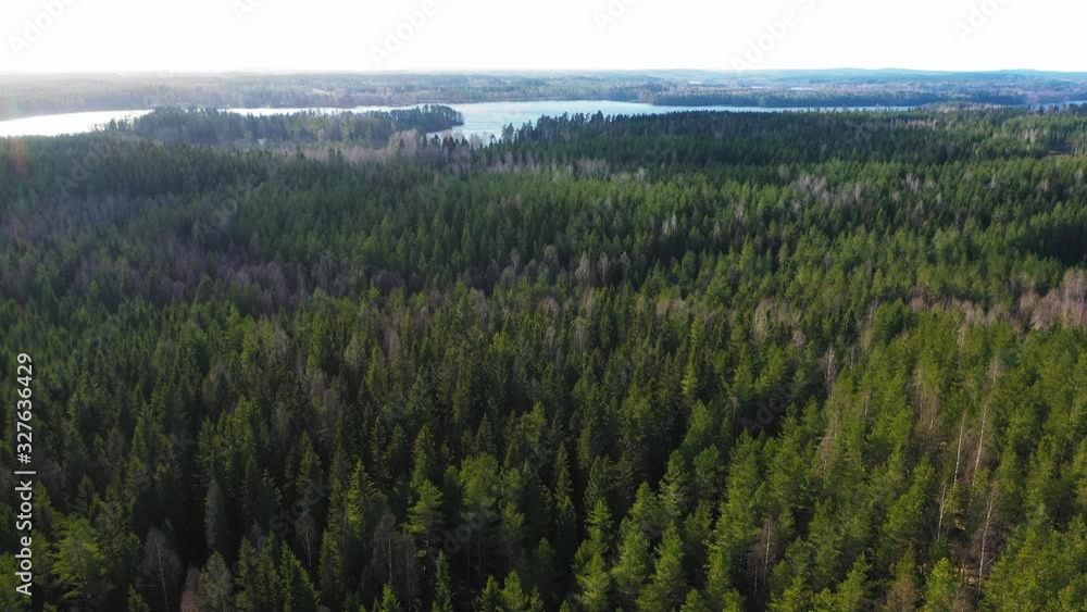 A CIRCLING AERIAL VIEW of a forest with a lake in the distance on a bright sunny day. A CIRCLING AERIAL VIEW of a forest with a lake in the distance on a bright sunny day.