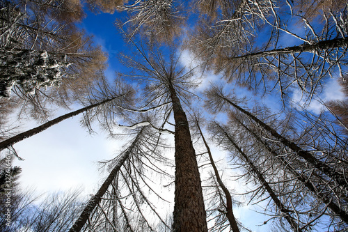 Fototapeta Naklejka Na Ścianę i Meble -  Bieszczady