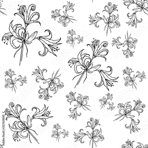 Wild lily pattern, black outline isolated on white background, vector illustration for design and decoration