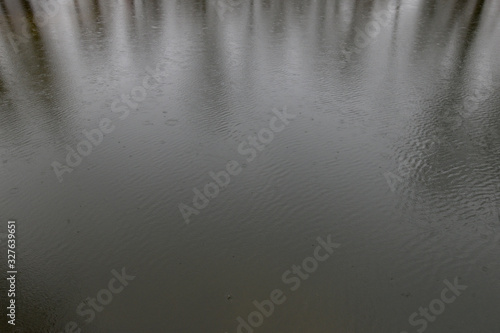 The water surface with reflection of trees, it is raining and raindrops fall into the water forming ripples.