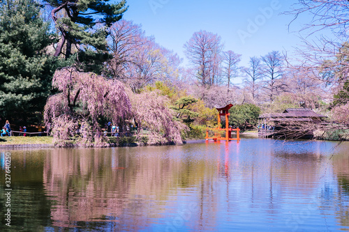 View of the Japanese Garden at Brooklyn Botanic Garden, New York City.
