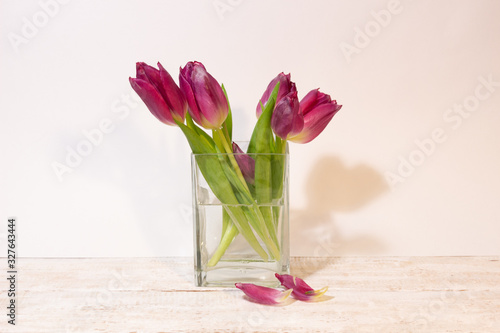 bouquet of red tulips with fading petals in vase on white background