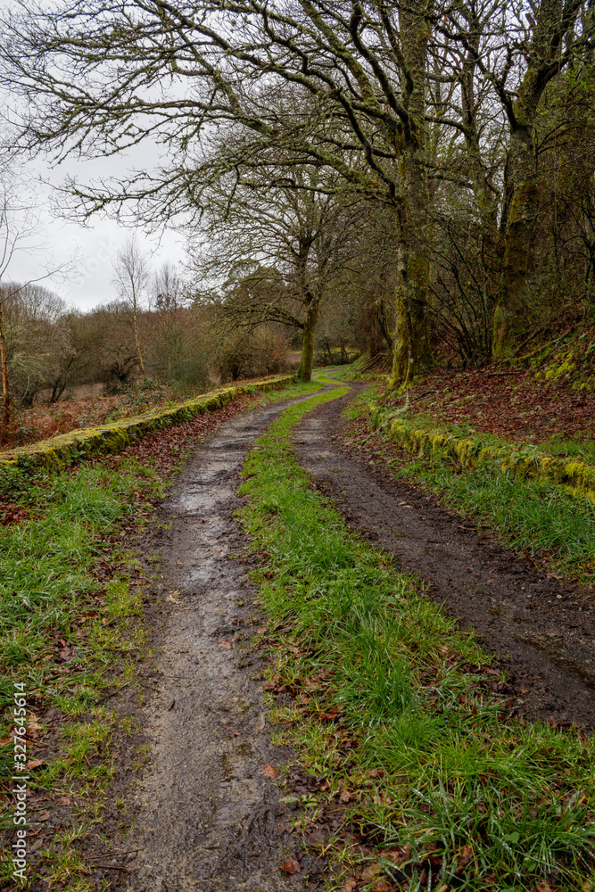 Muddy track on the way through Sobrado on the Camino de Santiago in the north of Spain