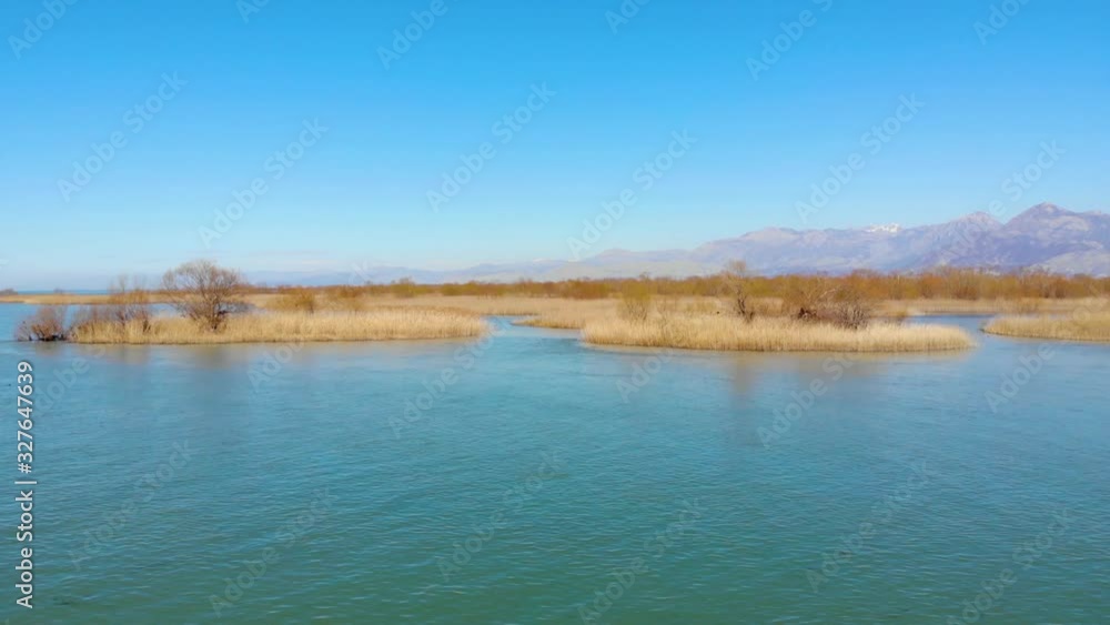 Tranquil lagoon with calm clear water washing small islands with dry yellow reeds on beautiful shoreline of Scutari lake Tranquil lagoon with calm clear water washing small islands with dry yellow reeds on beautiful shoreline of Scutari lake