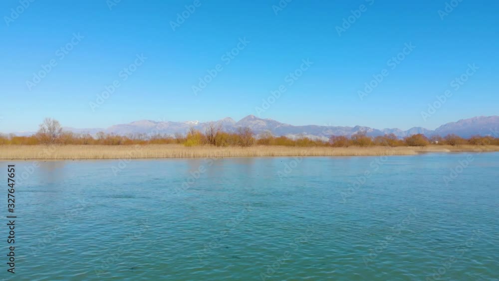Vibrant water of beautiful lagoon surrounded by yellow reeds and dry trees reflecting bright blue sky in Scutari lake Vibrant water of beautiful lagoon surrounded by yellow reeds and dry trees reflecting bright blue sky in Scutari lake