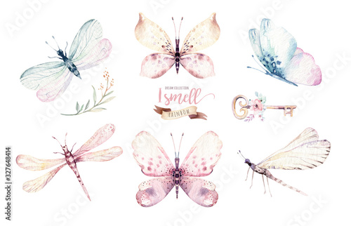 Naklejka Watercolor colorful butterflies, isolated butterfly on white background. blue, yellow, pink and red butterfly spring illustration.