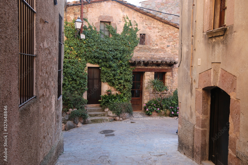 Fototapeta premium antiguas casas de pìedra en catalunya