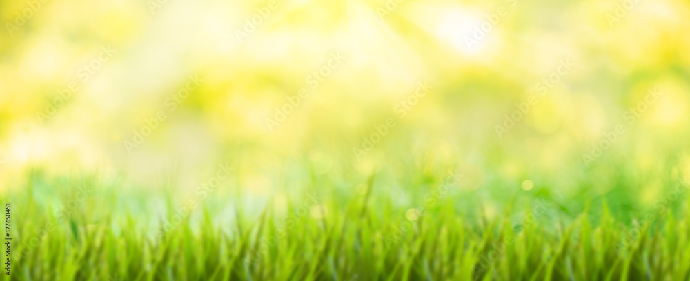 background with grass and sun
