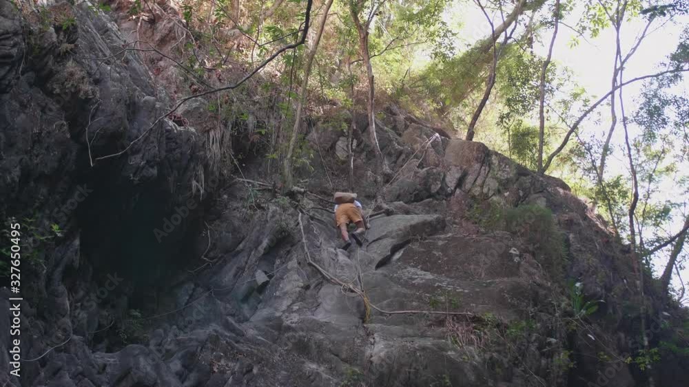 Young man rope climbing on rocks in the forest in mexico, slow motion Young man rope climbing on rocks in the forest in mexico, slow motion