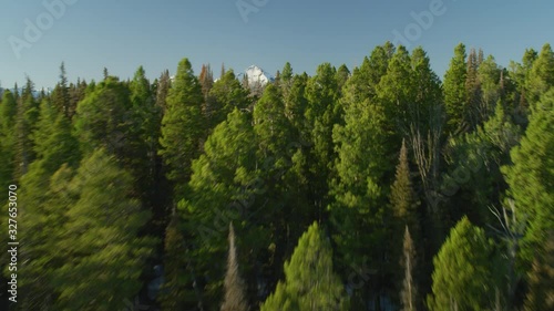 Dramatic reveal from tree line Hyalite Peak soars above the dense forests and lush green meadows in the Gallatin mountains photo