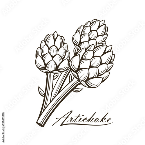 black artichoke bud vegetable illustration isolated on white background