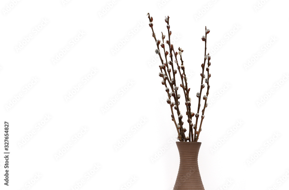 Fototapeta premium Catkin bud vase