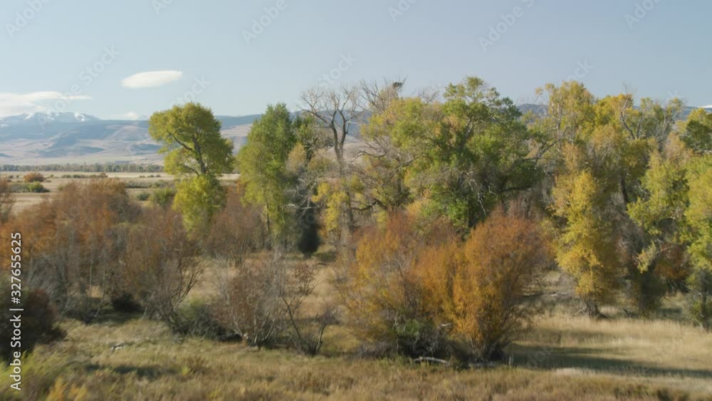 The Madison river winds through the bright autumn colors of changing Cottonwood, scrub oak and grasses in the Madison Valley, in southwestern Montana The Madison river winds through the bright autumn colors of changing Cottonwood, scrub oak and grasses in the Madison Valley, in southwestern Montana