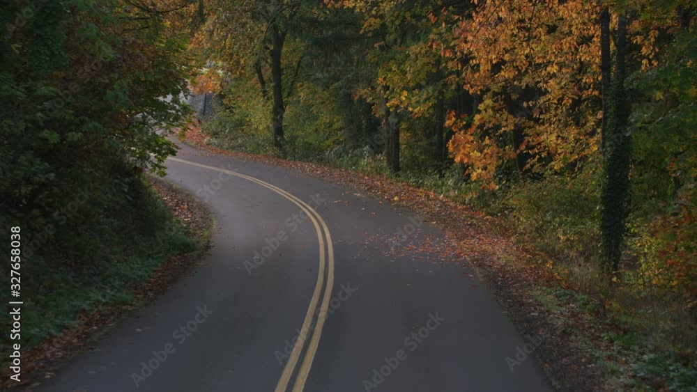Driving down scenic winding road in fall