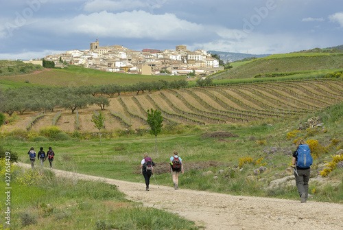 Peregrinas dirigiéndose al pueblo navarro de Cirauqui, en el Camino de Santiago Francés photo