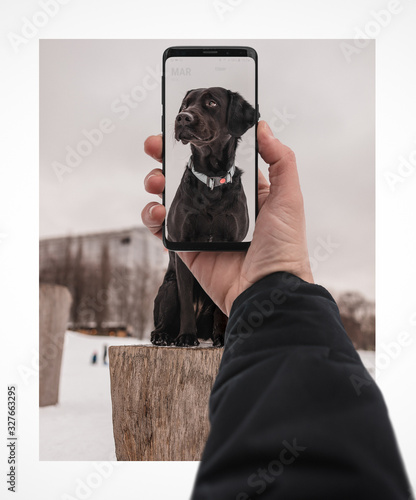 A framed dog photo