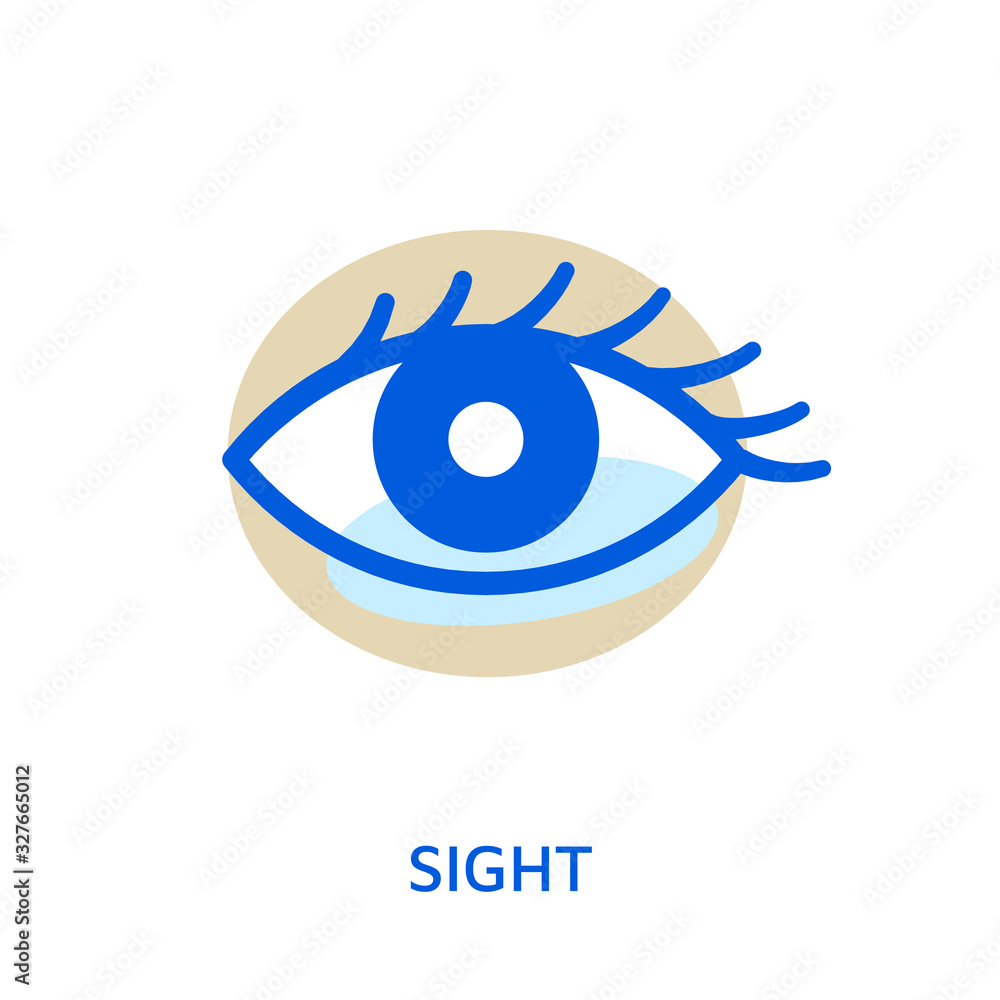 Eye. Organ of sense. Sight, vision icon. Vector illustration or symbol isolated on white. Eye. Organ of sense. Sight, vision icon. Vector illustration or symbol isolated on white.