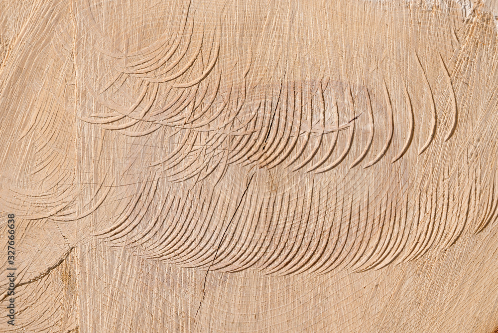 Ταπετσαρία wooden background with grooved structure from a chainsaw
