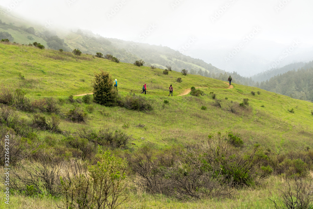 Hikers on the  White Oak Trail through green grass covered hills of the San Francisco Peninsula, Monte Bello OSP, California
