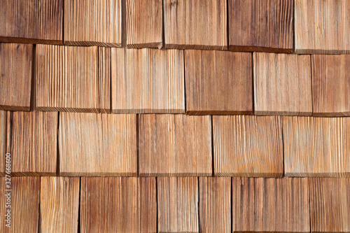 Holz
