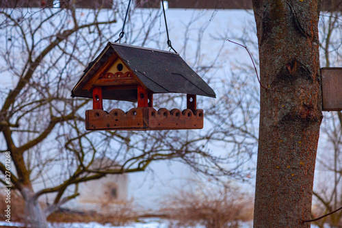 A wooden house bird feeder hanging on a tree branch © igor_zubkov