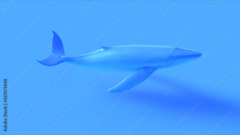 Obraz premium Blue Humpback Whale 3d illustration 3d render 