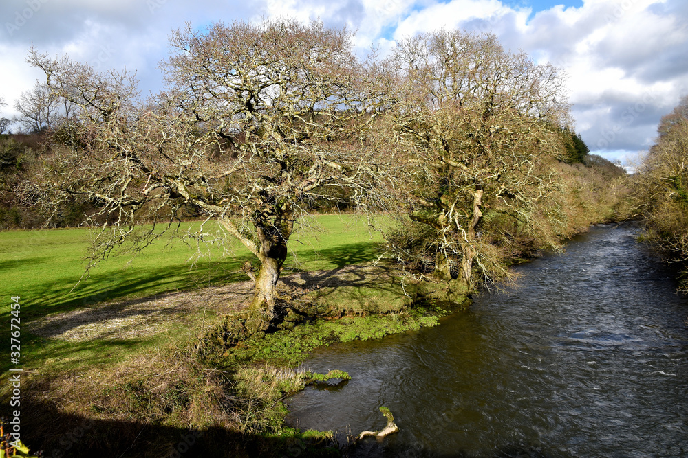 The river near Blackpool Mill in Pembrokeshire.